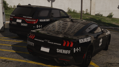 Richland County Sheriff Based Livery Pack