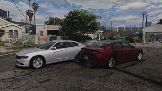 Gang Unit 2018 Dodge Charger