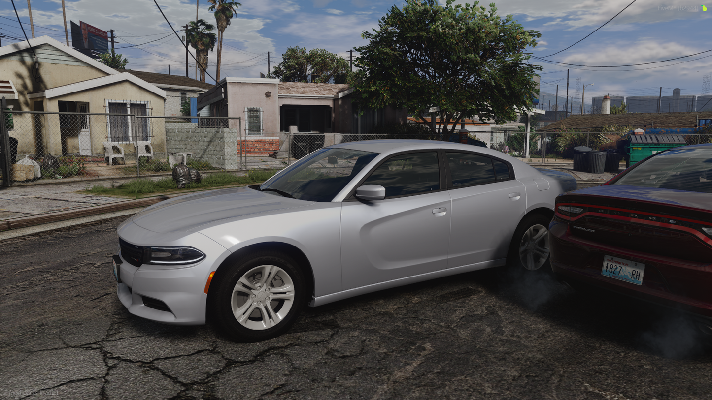Gang Unit 2018 Dodge Charger